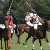 Polo, Commercial Wedding Photographers: Photoscience.co.uk